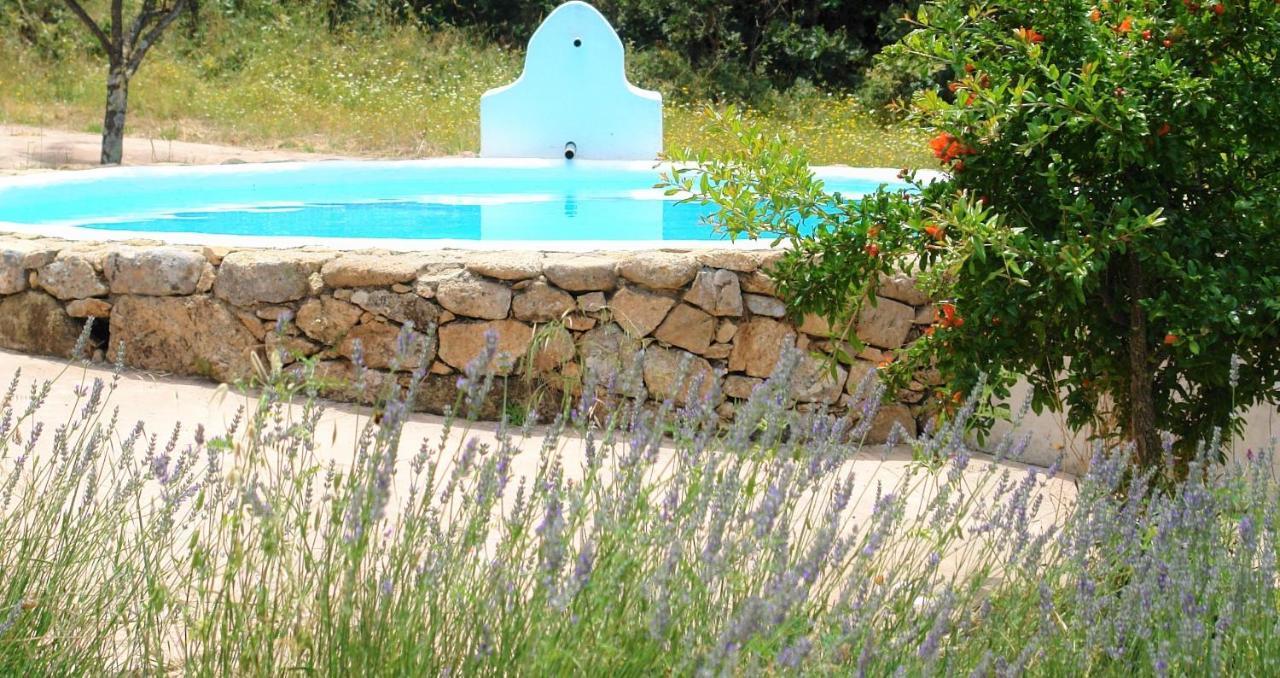 בית הארחה Quinta Do Marvao מראה חיצוני תמונה